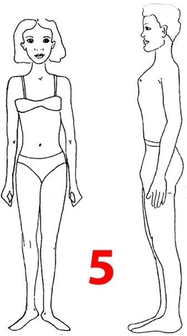 Фигура человека название. 5 Травм Бурбо Телосложение. Типы строения тела. Хрупкое Телосложение. 5 Типов телосложения.
