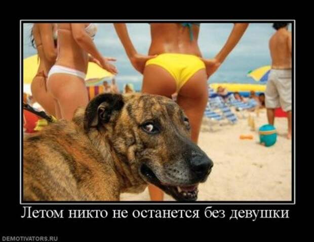 Демы картинки прикольные.