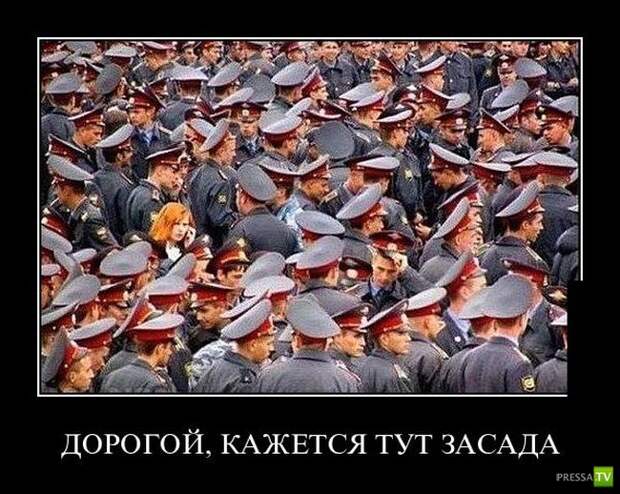 Демотиваторы на июль, часть 4 (30 фото) Демотиваторы на июль, часть 4 (30 фото)