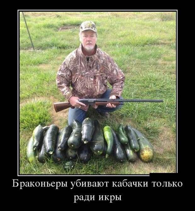 Демотиваторы (30 фото)