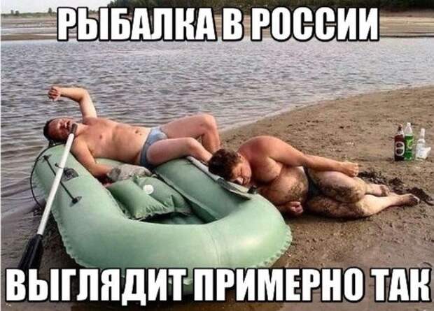 Смешные картинки с надписями прикол, юмор
