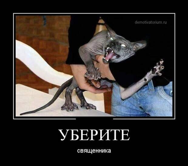 Демотиваторы демотиваторы, прикол, смех, юмор