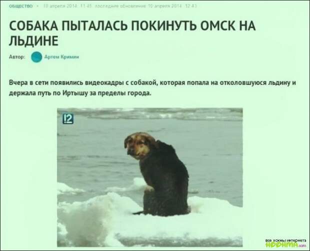 Рейтинг превыше всего