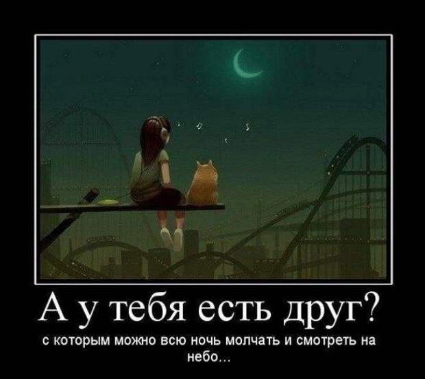 Демотиваторы (30 фото)