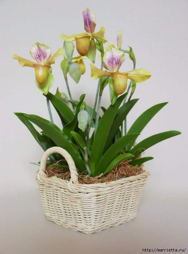Орхидея Леди Слиппер из полимерной глины. Мастер-класс (99) (518x700, 227Kb)