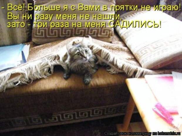 Лучшие котоматрицы недели, 35 шт.
