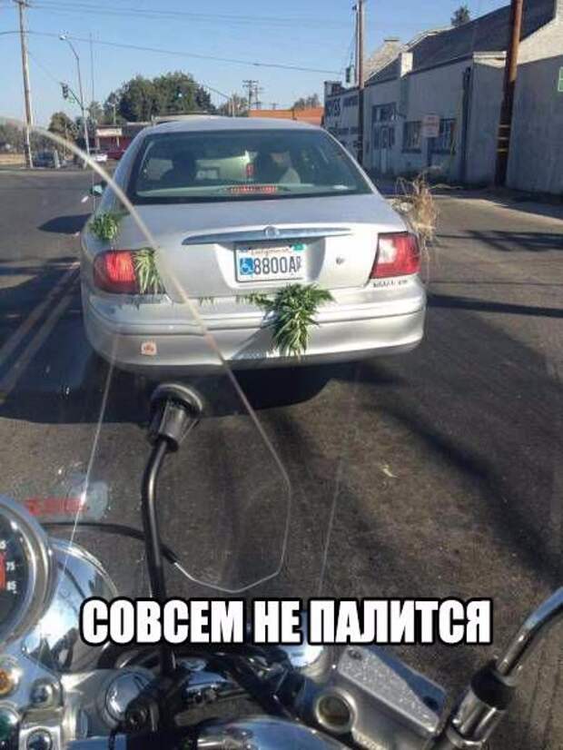 Очередная подборка автоприколов автоприколы, приколы