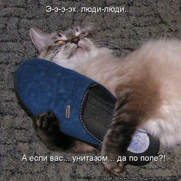 Котоматрица - Э-э-э-эх, люди-люди...  А если вас... унитазом... да по попе?!