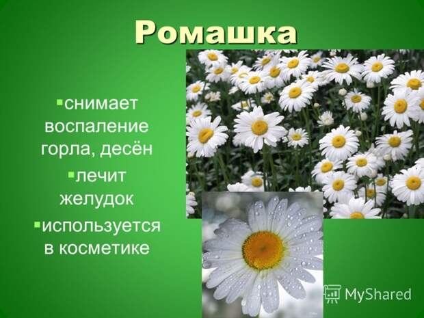 http://images.myshared.ru/4/320726/slide_4.jpg