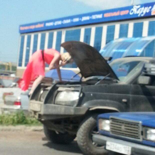 Прикольные картинки (91 фото)