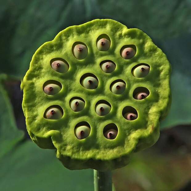Things That Are Inexplicably Uncomfortable 7 Бррр фотографии