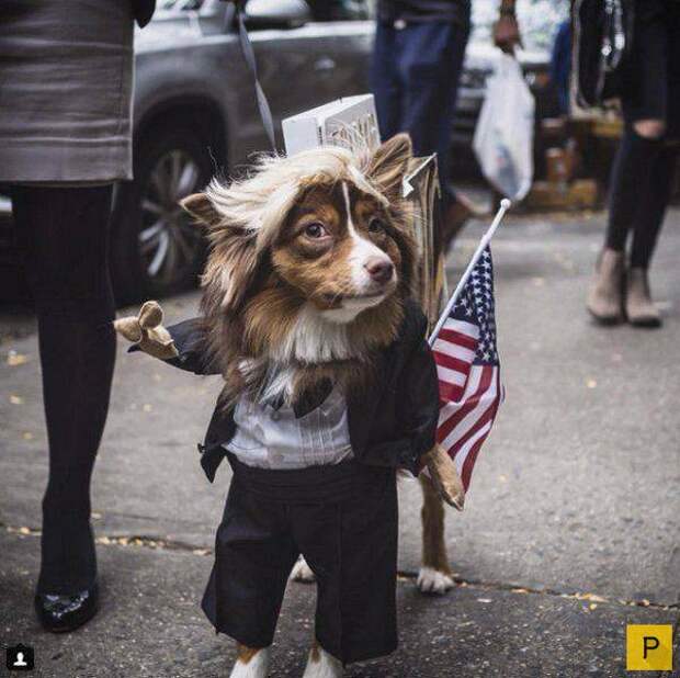 Новая подборка прикольных фотографий, часть 4 (86 фото)