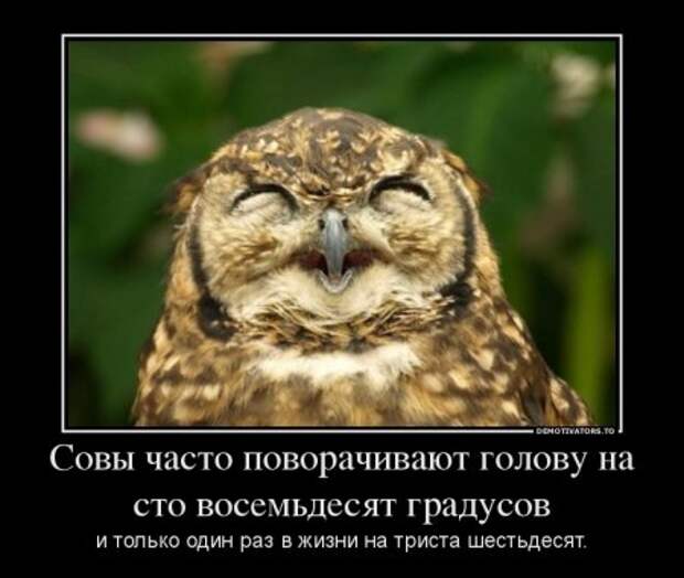 Чёрный юмор. Демотиваторы прикольные.