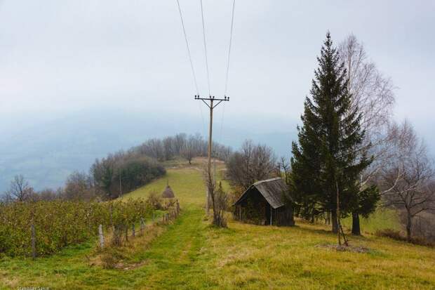 Сербия