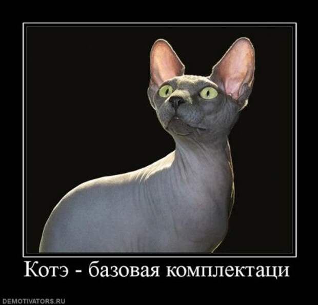 Пятничные демотиваторы, много новых прикольных.