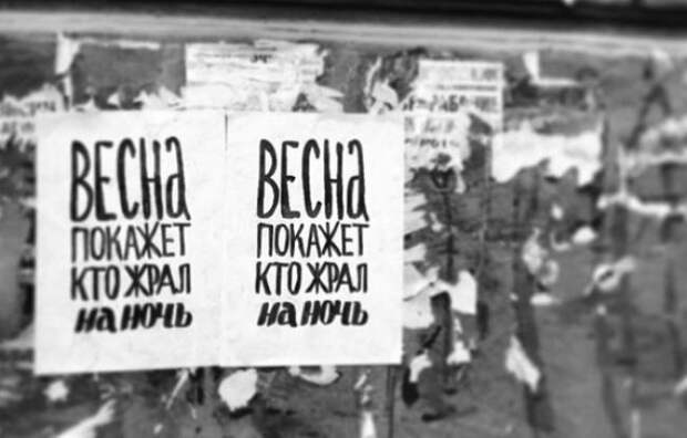 Смешные объявления, вывески, рекламки, ценники. часть 54 (27 фото)