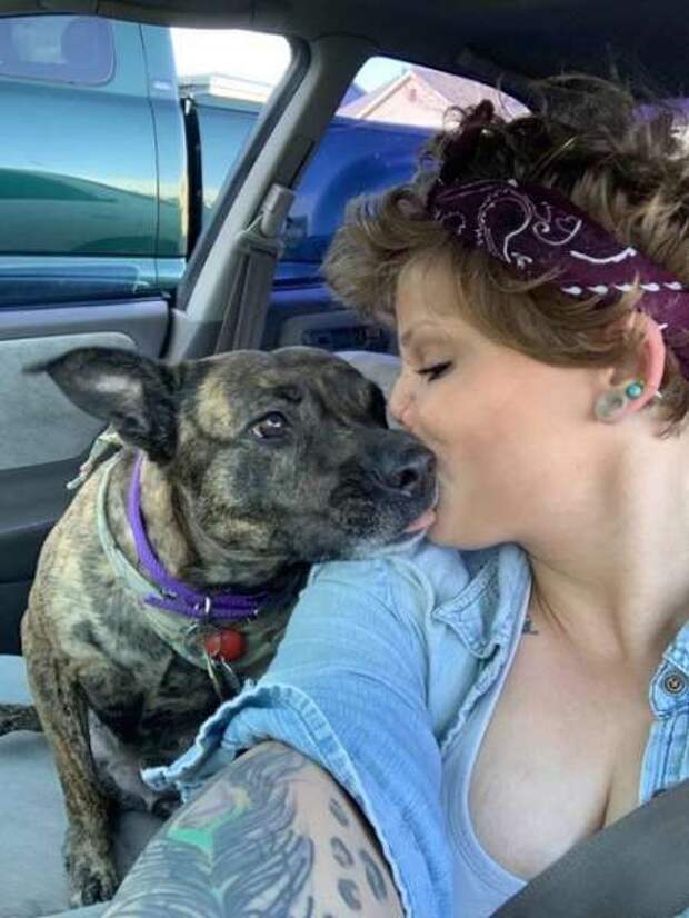 Изуродованная любовь: питбуль откусил девушке нос, но она простила его и продолжает обниматься с собаками