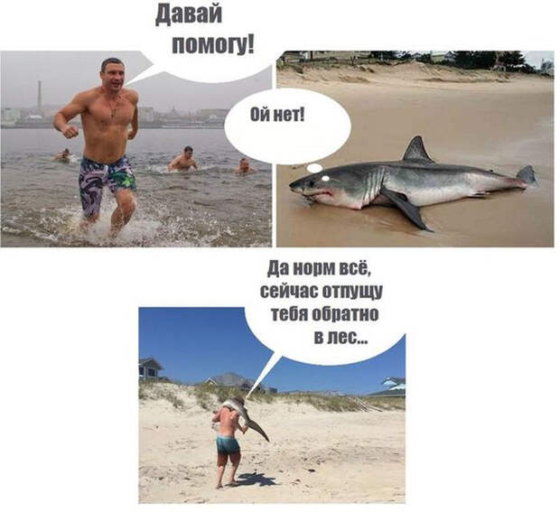 Прикольные картинки Прикольные картинки