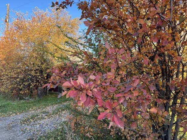 До 25 градусов тепла ожидается в Забайкалье