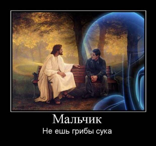 Демотиваторы картинки смешно и новые.