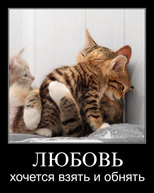 Пятничная подборка демотиваторов демотиватор, юмор