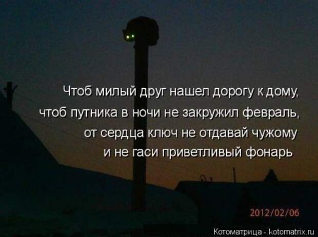 Собачьекошачьи матрицы.