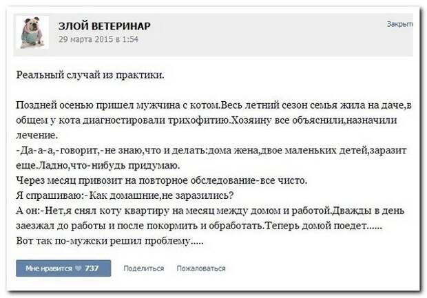 Комментарии из соцсетей