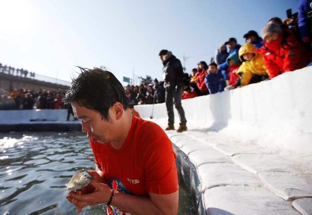Традиционный фестиваль горной форели корея, рыбалка, фестиваль