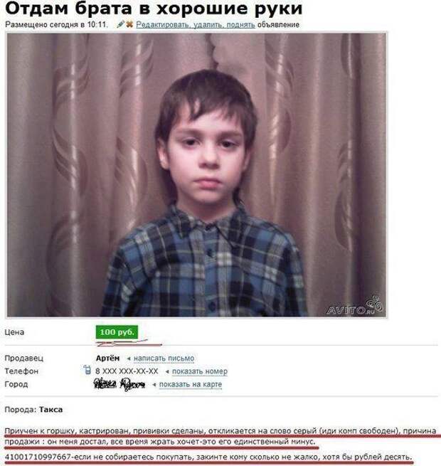 Самые прикольные объявления на Avito Самые прикольные объявления на Avito