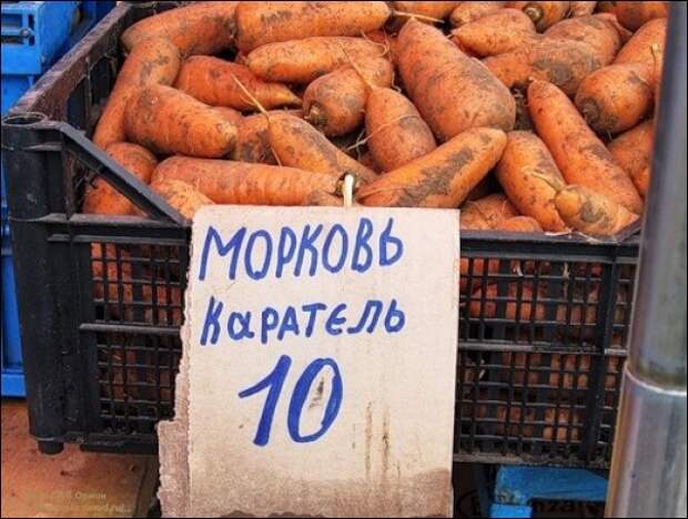 Смешные магазинные ценники магазин, ценник, юмор