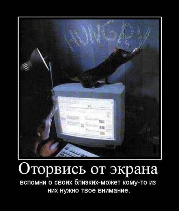 Демотиваторы (133 картинки)
