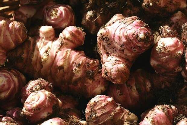 1а2, (540x427, 83Kb)