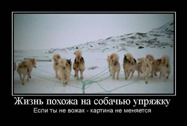 Демотиваторы №1069 (30 фото)