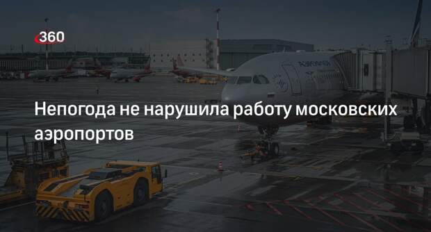Непогода не нарушила работу московских аэропортов