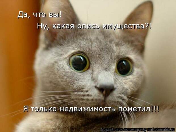 Мысли вслух :)