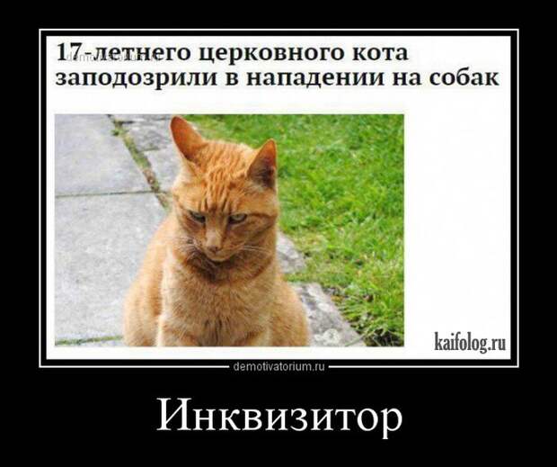 Прикольные русские демотиваторы - 231 (55 демок)
