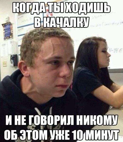 Веселые фото приколы Веселые фото приколы
