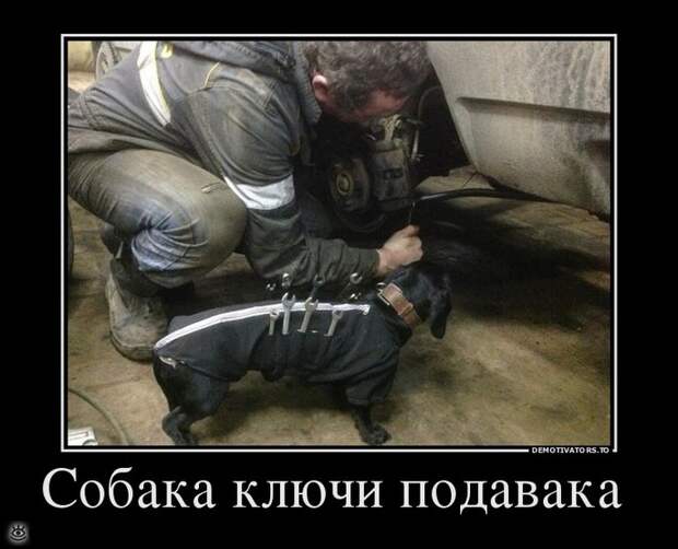 Будьте настойчивы! 20