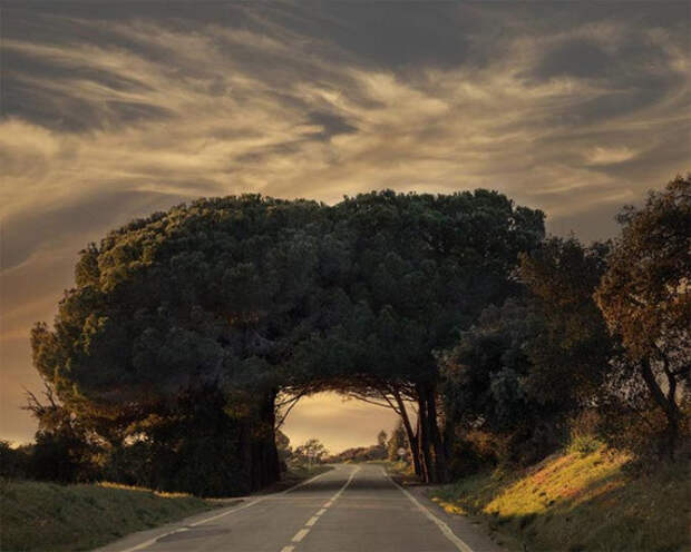 Алентежу, Португалия природа.красота, факты