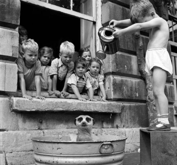 Редкие исторические фотографии из частных коллекций