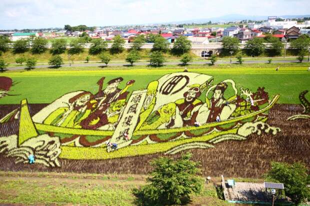 these-rice-fields-in-japan-look-like-ordinary-rice-fields-but-take-a-look-what-happens-next-artnaz-com-15