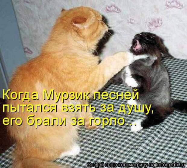 Котоматрица
