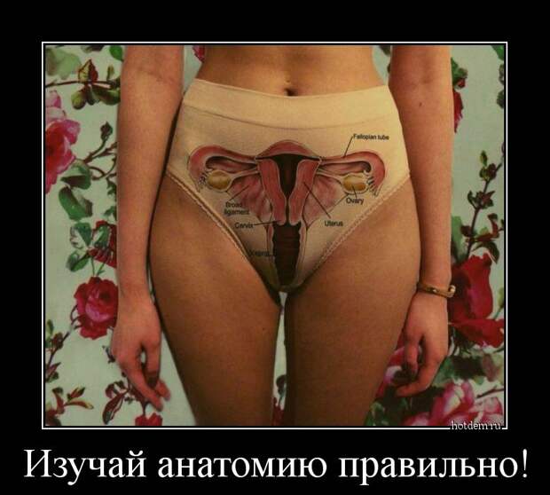 Демотиваторы демотиваторы, прикол, смех, юмор