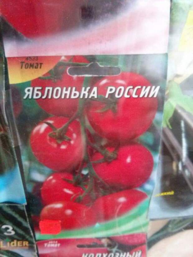 Прикольные надписи и объявления
