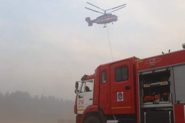 Малков назвал возможные причины лесных пожаров в Рязани
