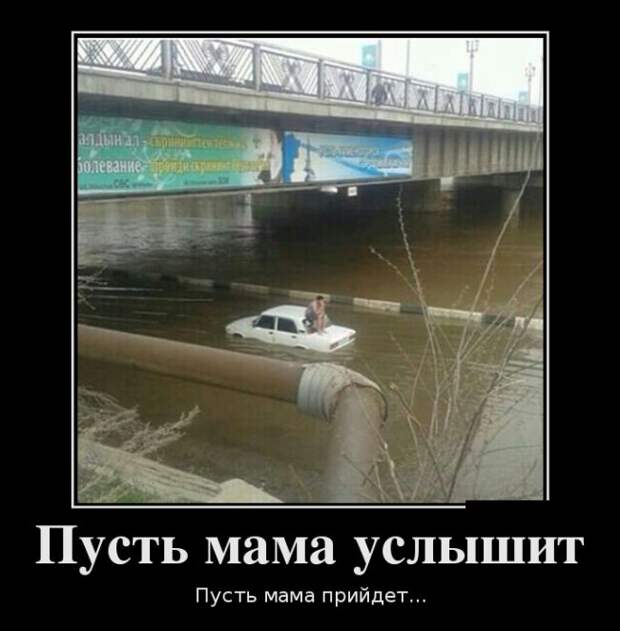 Демотиваторы (30 фото) Демотиваторы (30 фото)