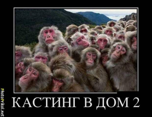 Смешные и прикольные демотиваторы (34 демотиватора) Смешные и прикольные демотиваторы (34 демотиватора)