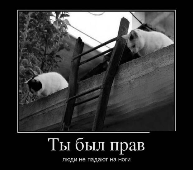 Подборка демотиваторов демотиватор, юмор