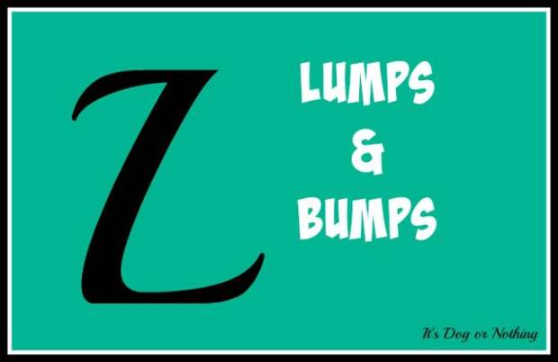 When it comes to giant breed health and nutrition, there's a lot that goes into raising a happy, healthy dog. We're going from A to Z talking about giant breed specific needs! Today, it's all about one of our worst fears - finding lumps and bumps on our dogs.