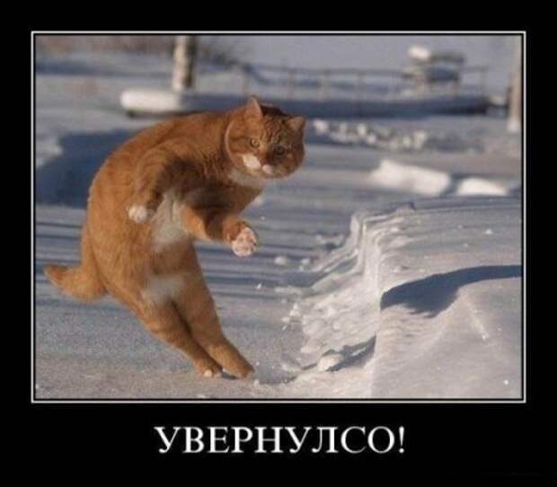 смешные демотиваторы.